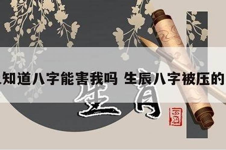 93鸡96鼠八字合不合