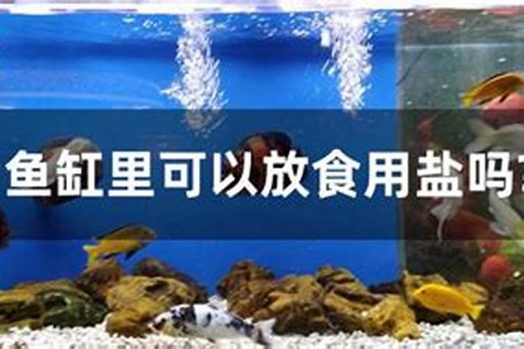 门口东北方位放鱼缸和财神好吗？