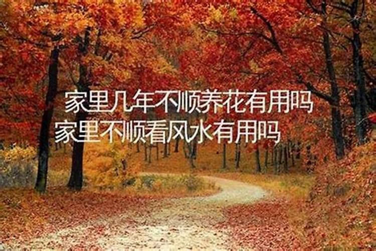有哪些品质很好的白水晶吊坠值得入手？