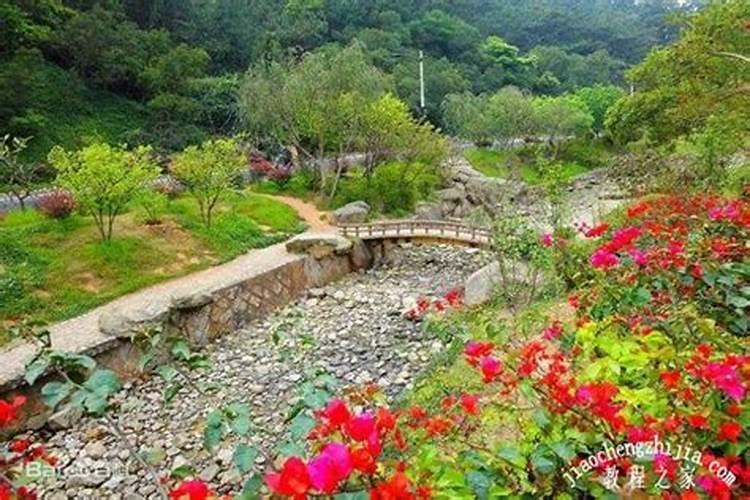 重阳节前 游厦门市翔安下潭尾红树林湿地公园