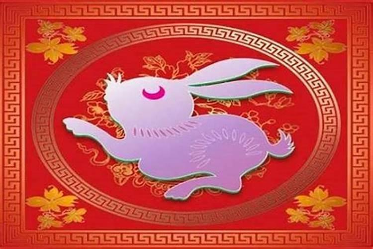 63年的兔2025年的运势怎么样