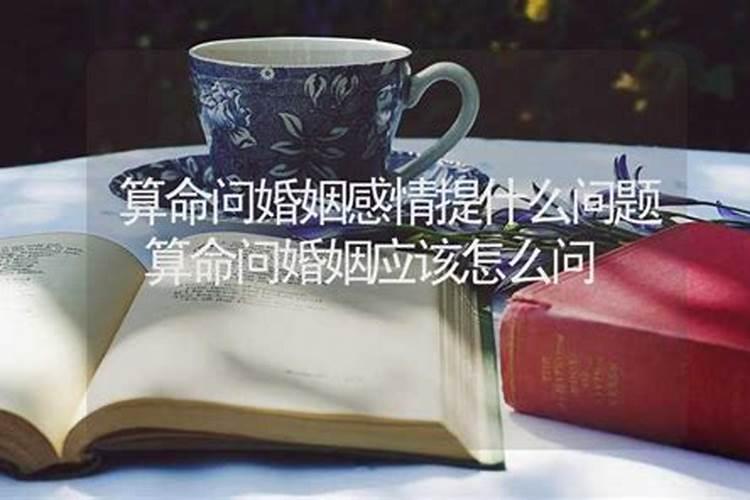 属猪2025年犯太岁吗