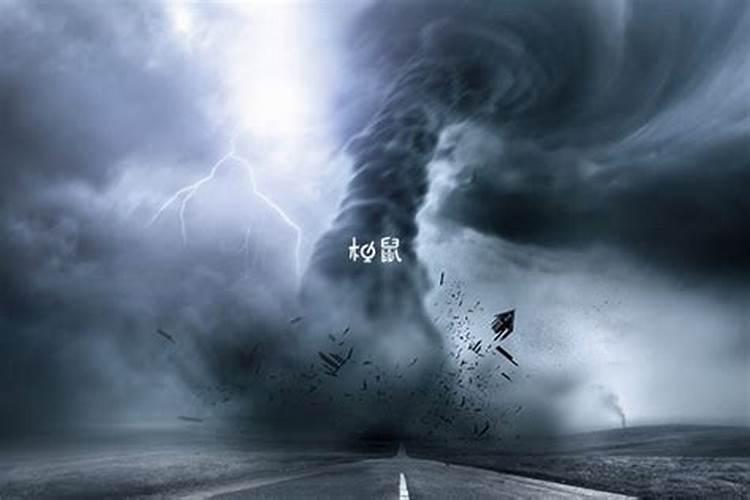 梦见龙,啥预兆？