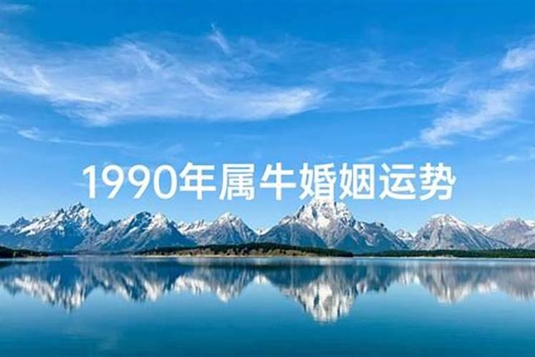 1990年2025年运势及运程