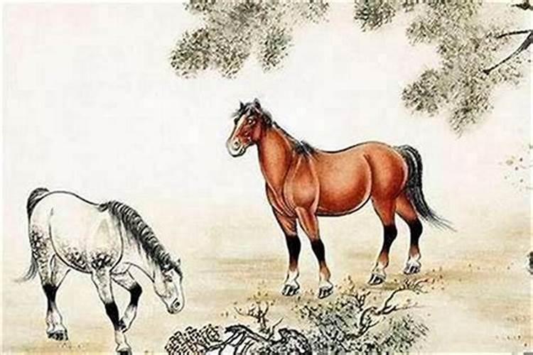 乙丑年辛巳月甲子日乙丑时出生的男孩,命理与运程如何~