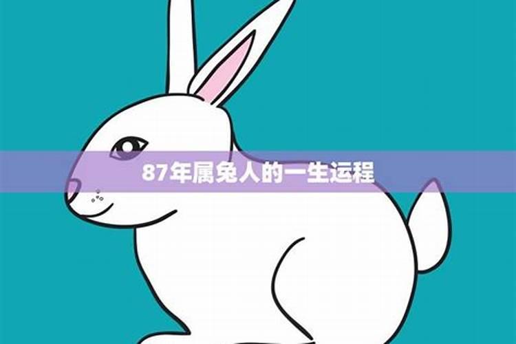 1987年属兔人2024年全年运势 87年属兔人最穷不过37岁
