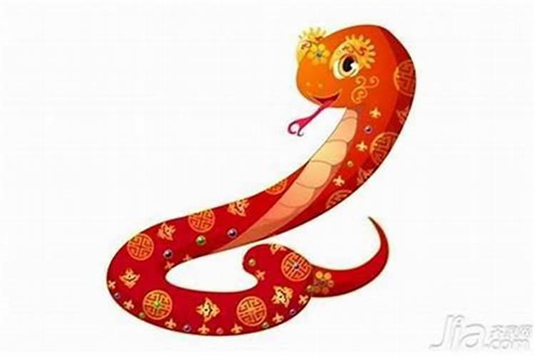 属蛇的人一生的三大贵人生肖