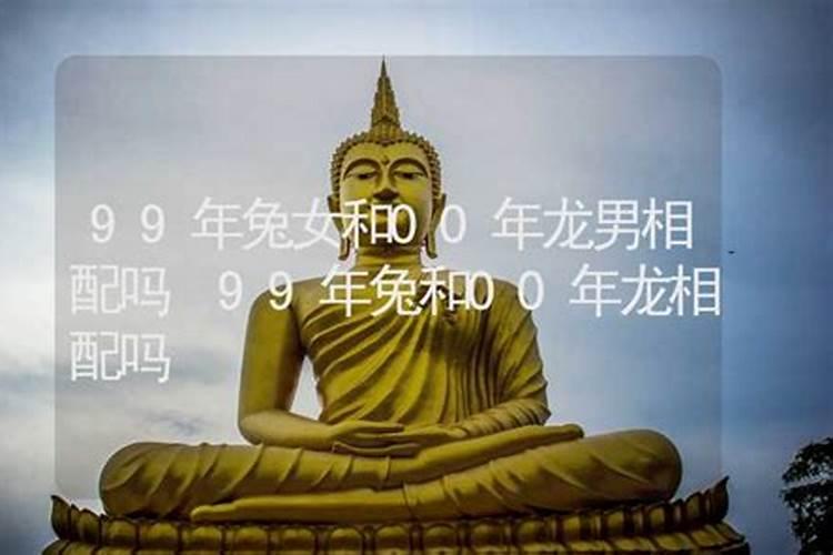 属相婚配:男属龙和女属兔相配吗
