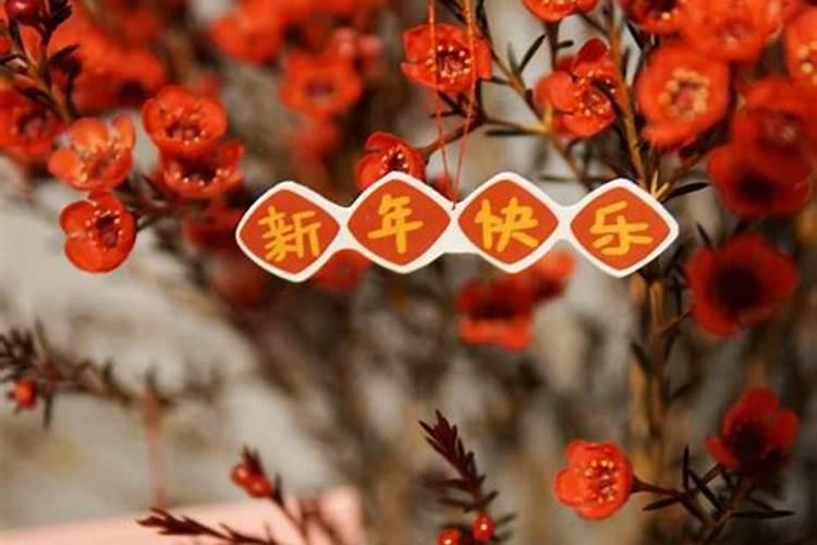 今年几点发码子最好