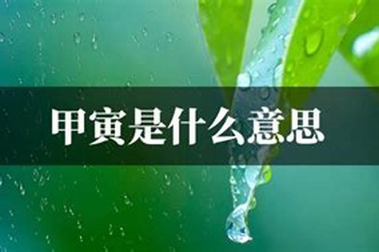 2025属鸡上坟最佳时间