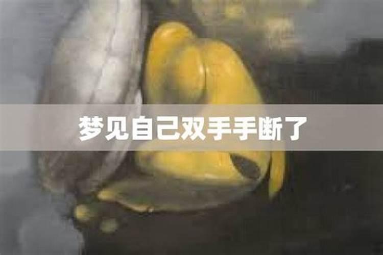 梦见自己断双手又好了的预兆