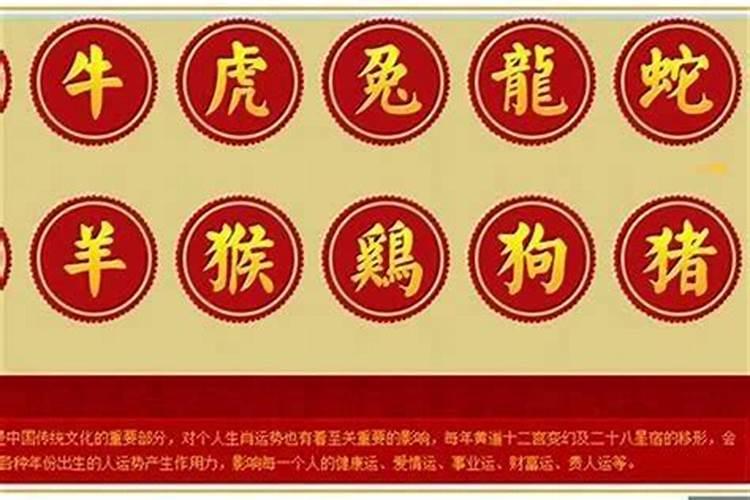 87兔男88龙女60年一遇大吉婚,87兔男88龙女适合做夫妻吗？