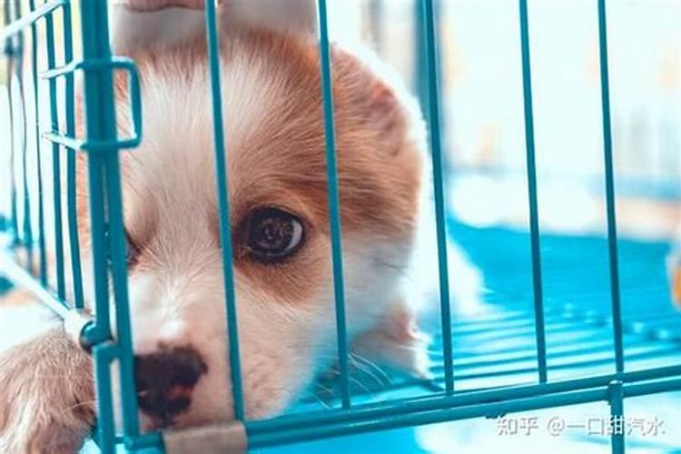 腊八节吃腊八粥怎么做