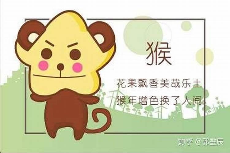 属猴和猪真的反相吗
