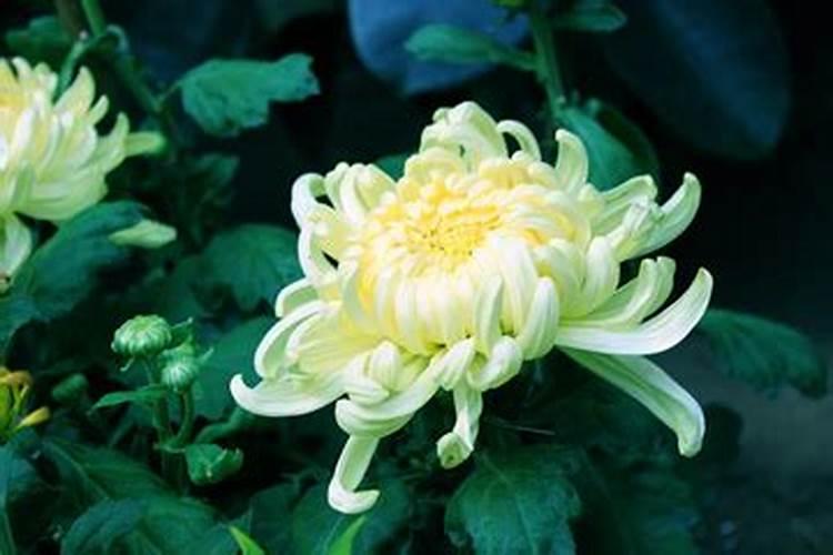 客家有些地方,八月十五中秋节祭祖,有什么典故？