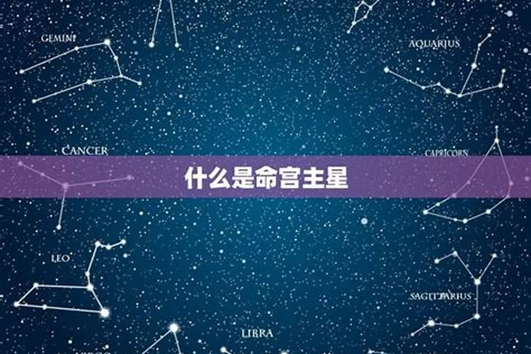 怎么在紫薇命盘里看自己的主星？？