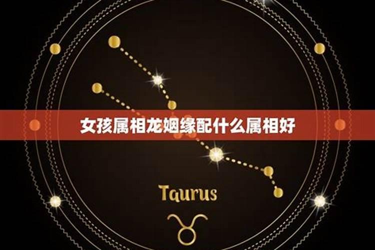 属龙的和什么属相相配最好。