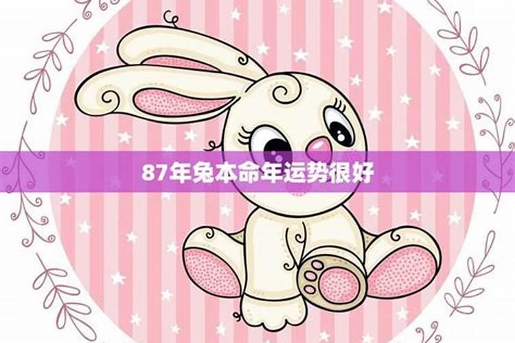 95年8月15属猪的命运