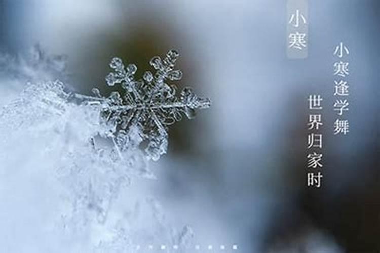 梦见起死去的叔叔复活了