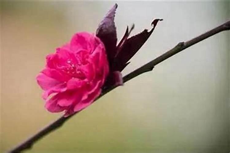 冬至的民间风俗吃什么
