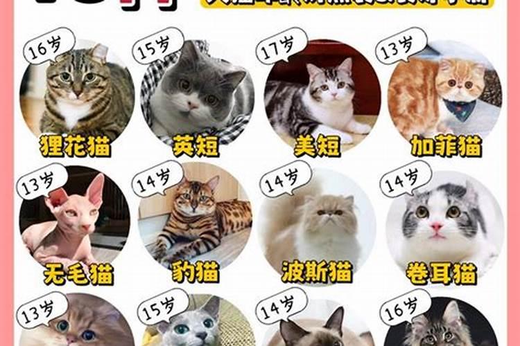 梦见骑车被人拦下的预兆