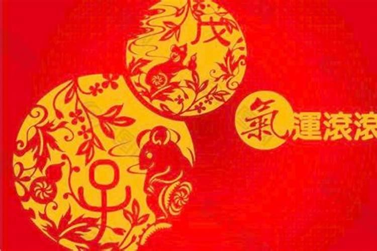 鼠年出生的人的命运 属鼠的人好不好