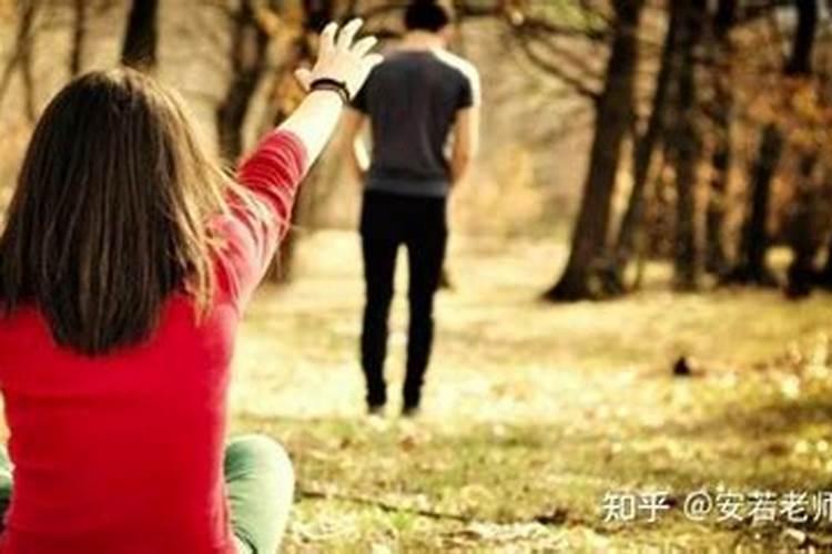 周公解梦梦见美人鱼