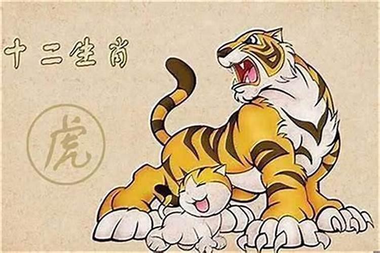 97年牛女和98虎男八字合不合