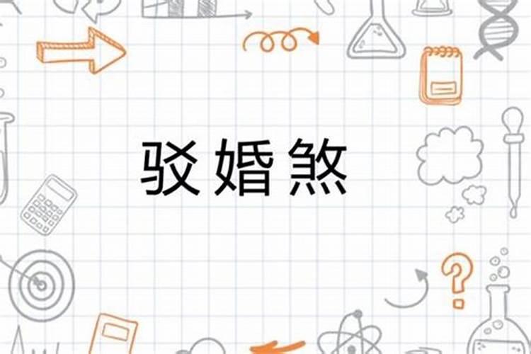 属猪人最佳配偶3个人