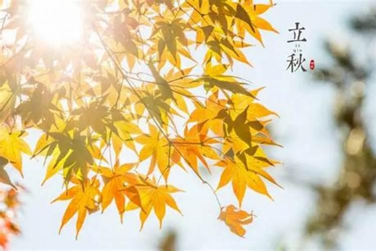 八字五行齐全一定是贵命吗