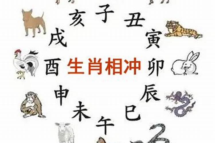十二生肖相冲相克