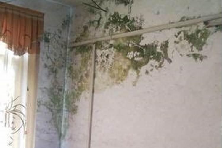 梦到房屋漏水,床上的被子被淋湿？