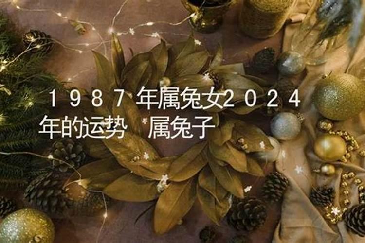 阴历1984年 8月22 凌晨 鸡叫时出生的人 男孩 的命运怎么样呢？
