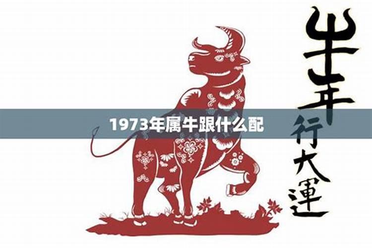 今年属鼠的财运和运气如何 属鼠的今年运气好不好