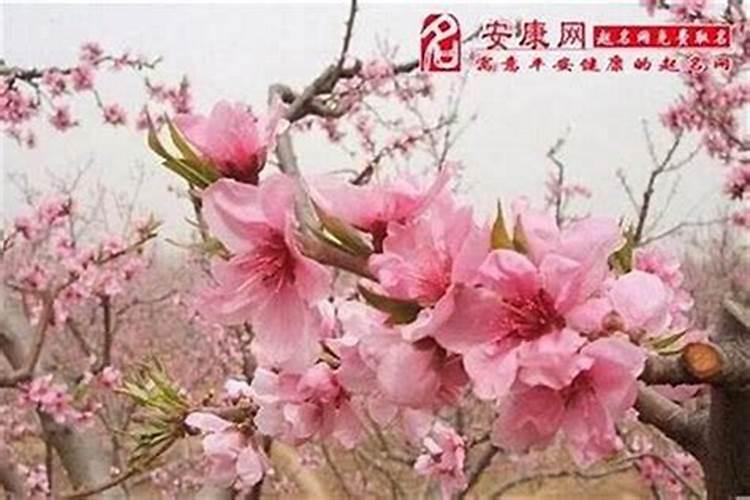经常梦见前女友是什么预兆