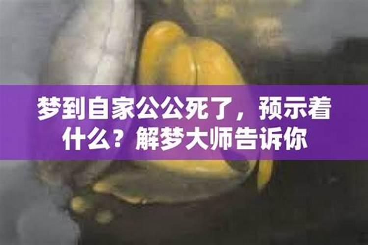 1983年属猪男在2025年运势