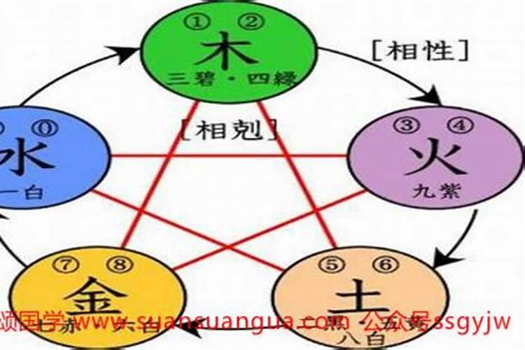 1997年属牛的是水命人