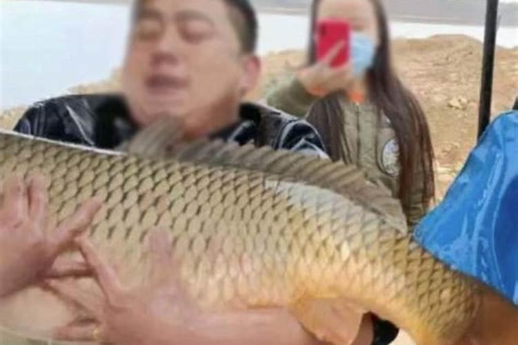 属羊人2025年全年运势详解每月
