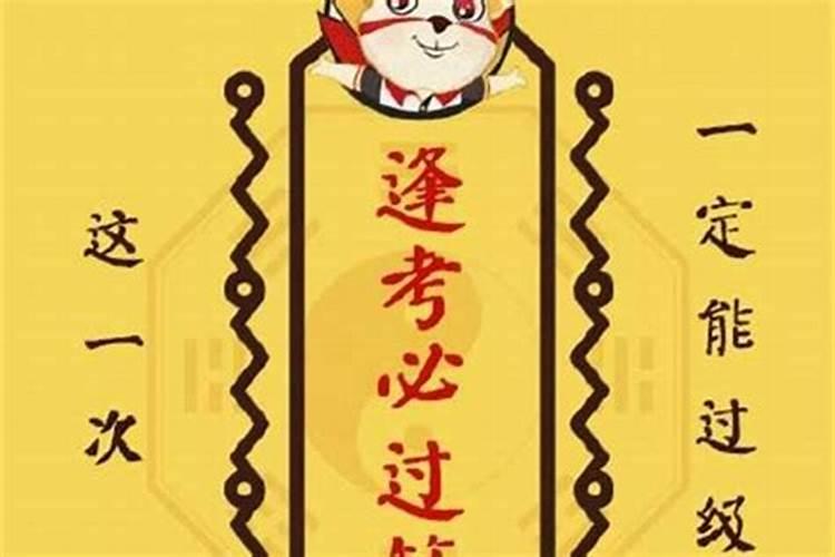 24年属狗的总体运程每月运势讲解