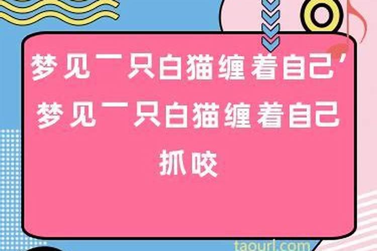...是否和堕胎有关？听说渡灵阁的超度很灵是真的吗？