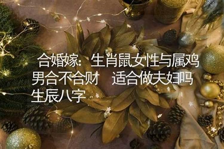 命运八字中金太旺的人适合做什么职业