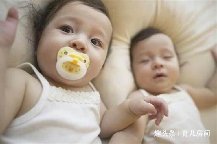 梦见红兔子是什么预兆
