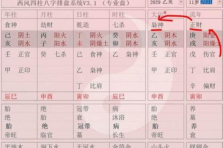 八字算命通根和无根是什么意思求解释