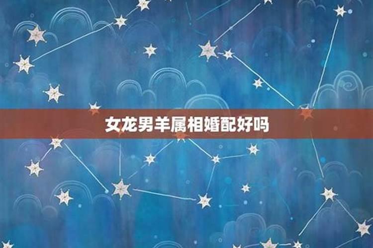 属龙属羊千万不能在一起 羊与龙不能相配吗？