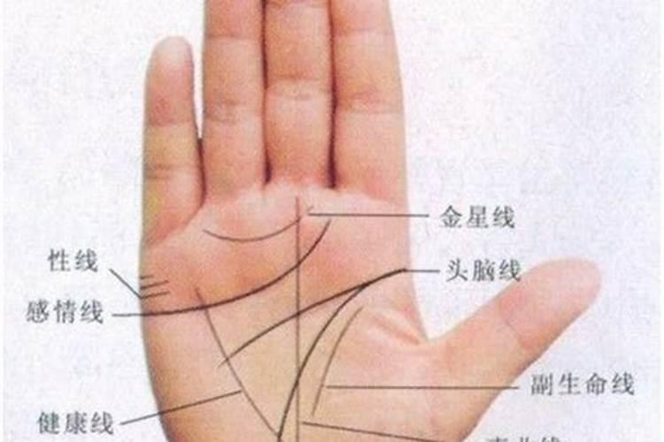 手相怎么看姻缘,两条婚姻线平行的人婚姻美满幸福？