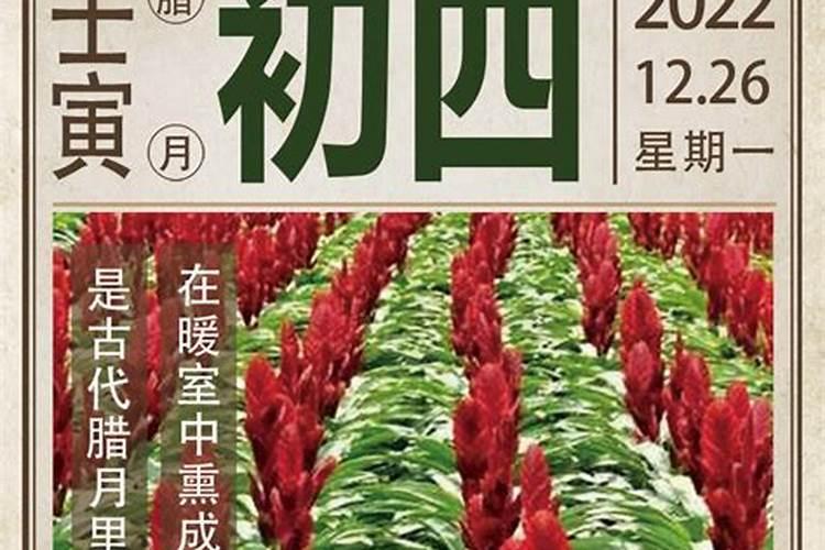 年月日时四柱中,哪一柱犯太岁最严重？还是一样严重？