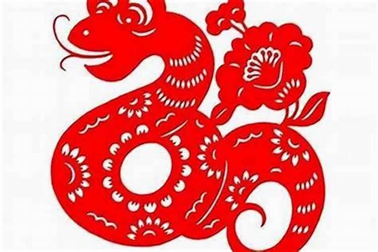 属蛇遇鼠年运势如何
