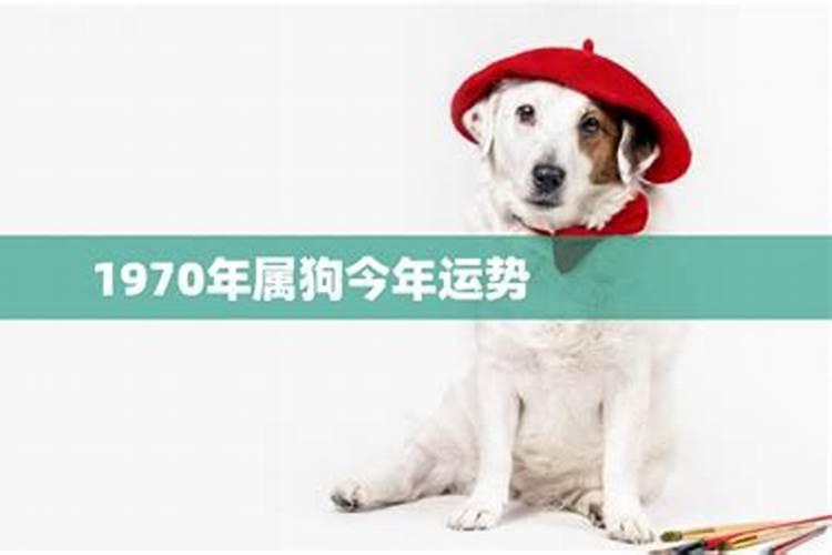 石家庄裕华区哪里有集市？方村,位同,宋村,南栗 留村 南焦 都是什么时候...