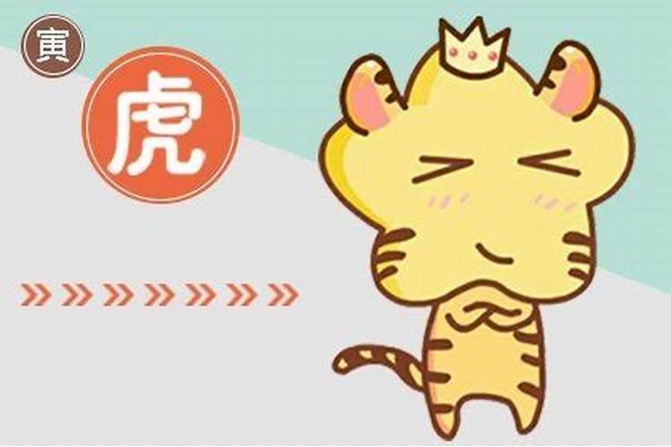 属虎男最佳婚配属相