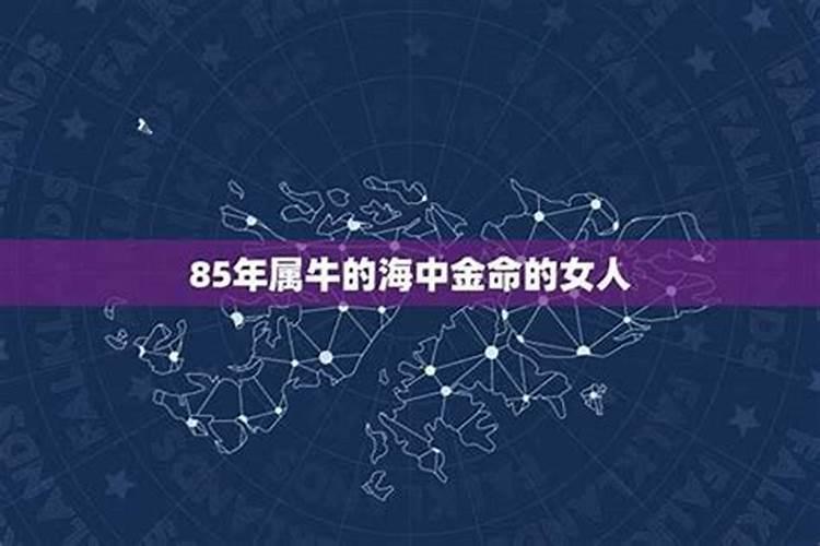 海中金命适合什么颜色
